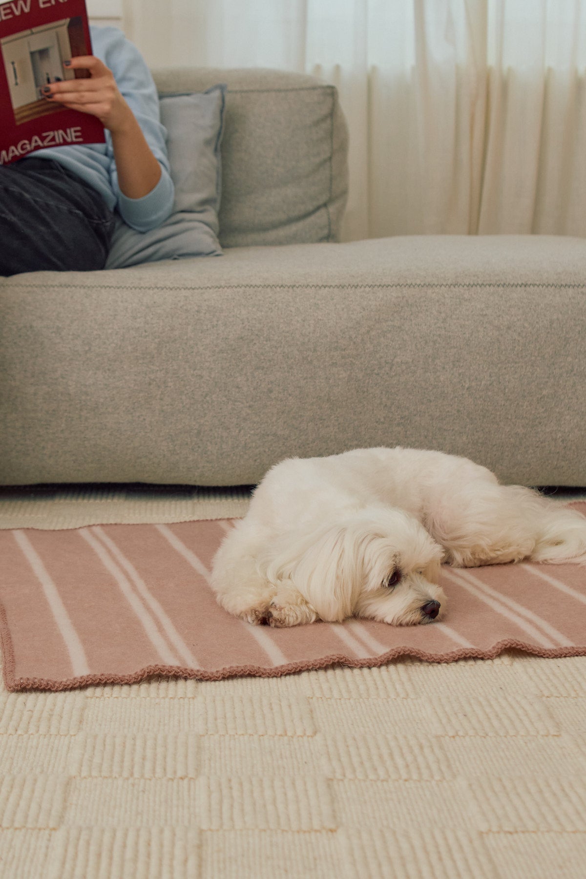 MiaCara Rigato Wool Dog Blanket — 6