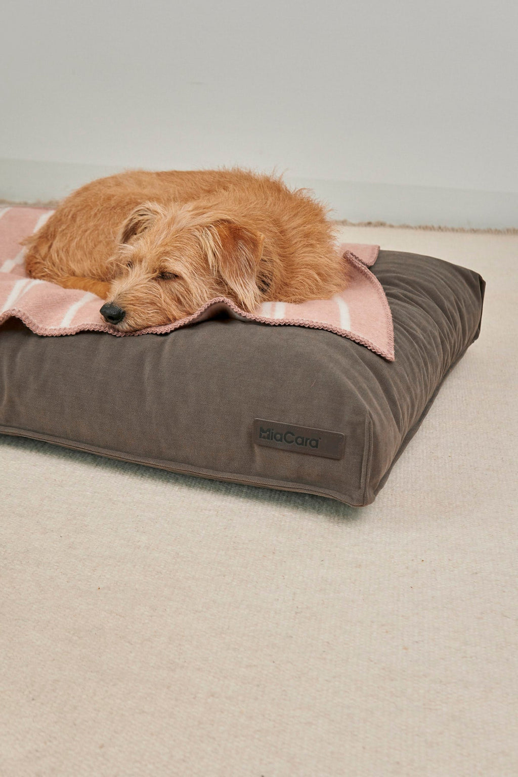 MiaCara Rigato Wool Dog Blanket — 7