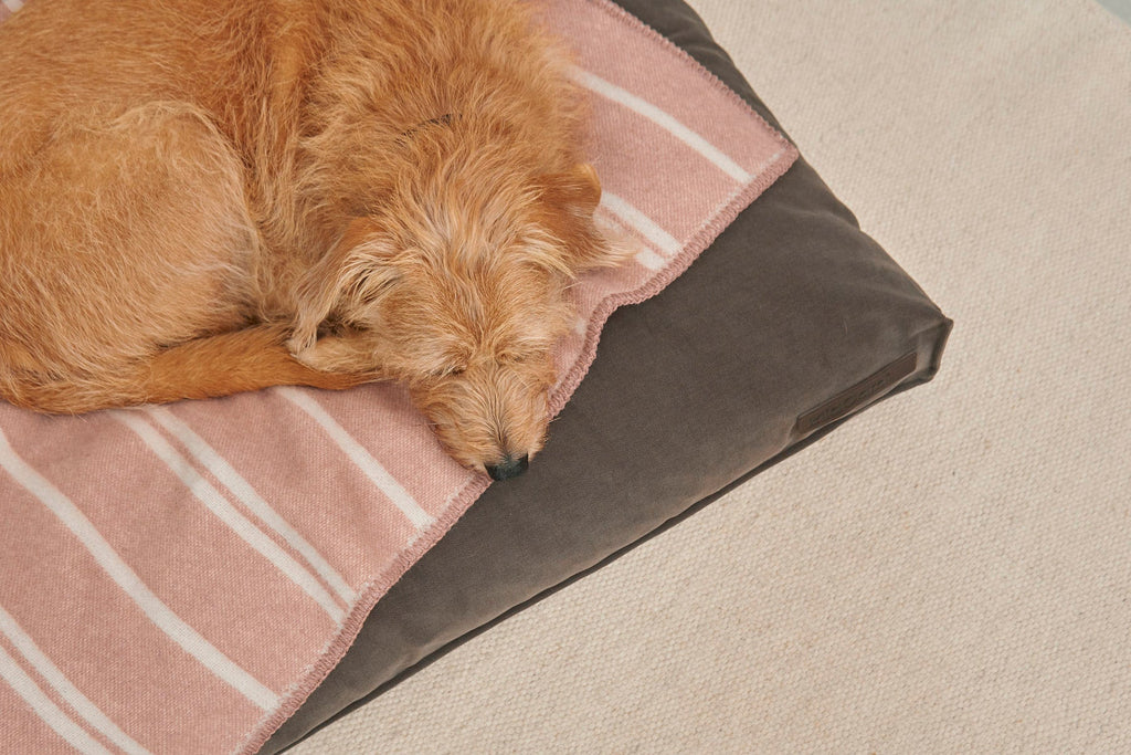 MiaCara Rigato Wool Dog Blanket — 9