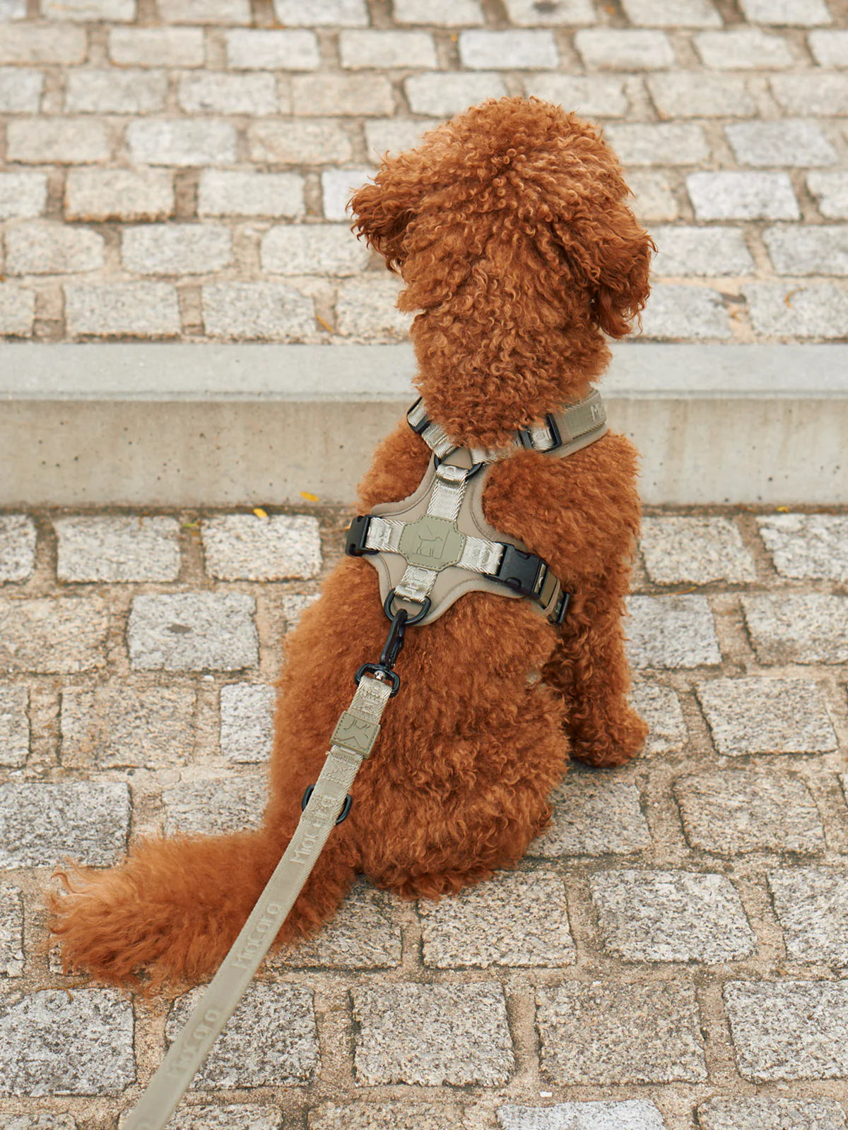 Modena Harness