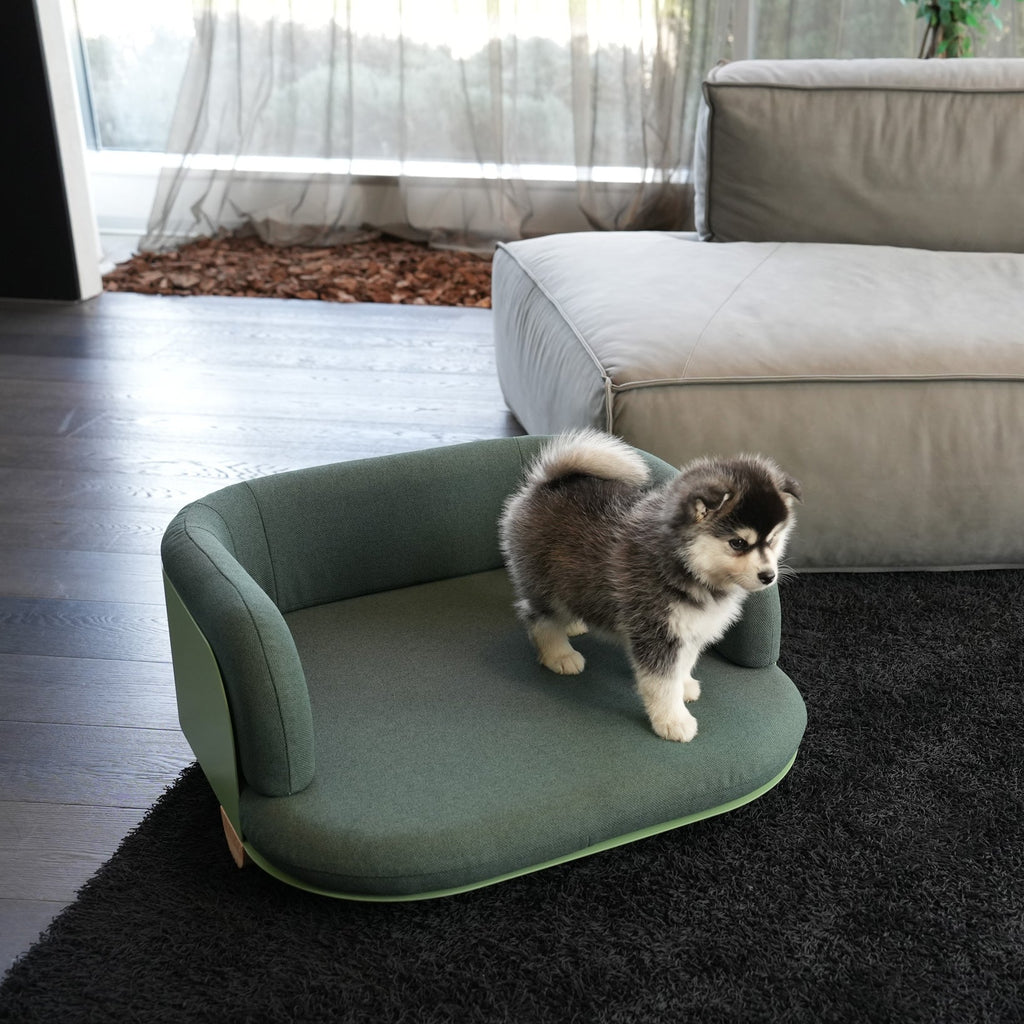 Musonero Cozy — design and use