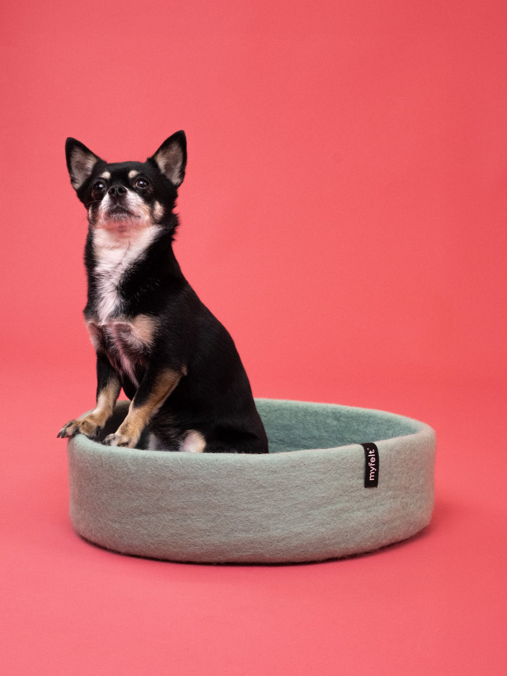 myfelt Fine Dog Basket — detail
