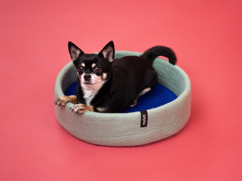 myfelt Fine Dog Basket — detail