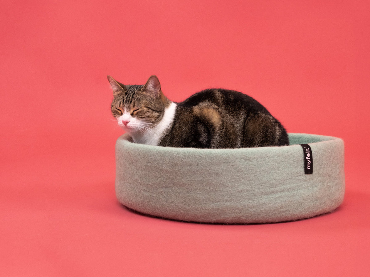 myfelt Fine Cat Basket — detail