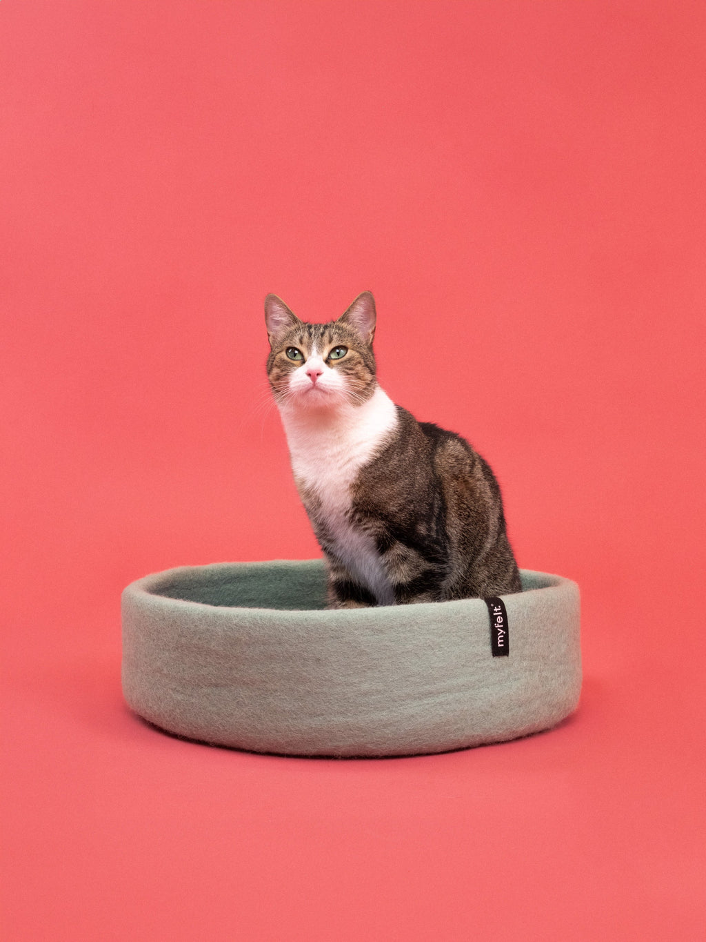 myfelt Fine Cat Basket — detail