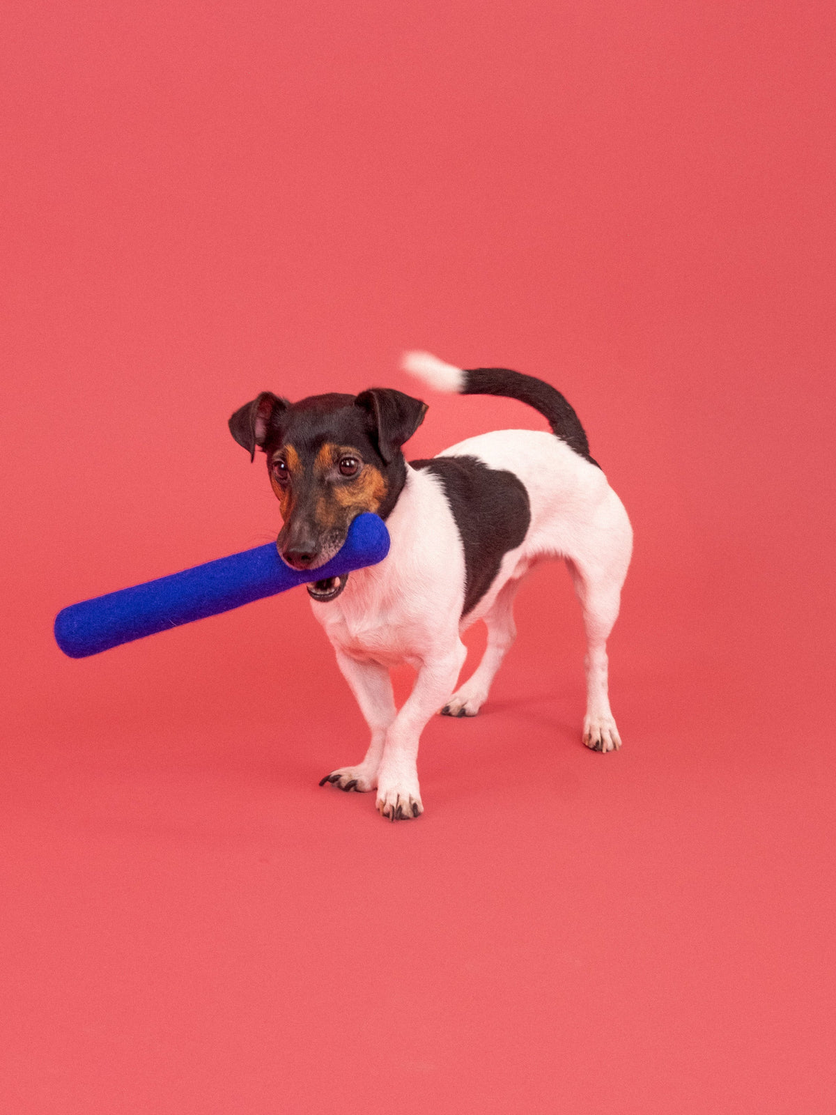 myfelt Isa Dog Toy - Stick — detail