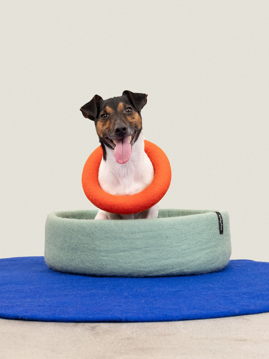 myfelt Mats Dog Toy - Ring — detail