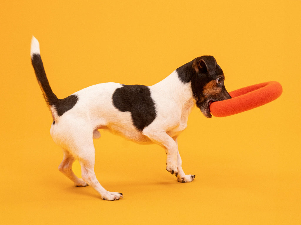 myfelt Mats Dog Toy - Ring — detail