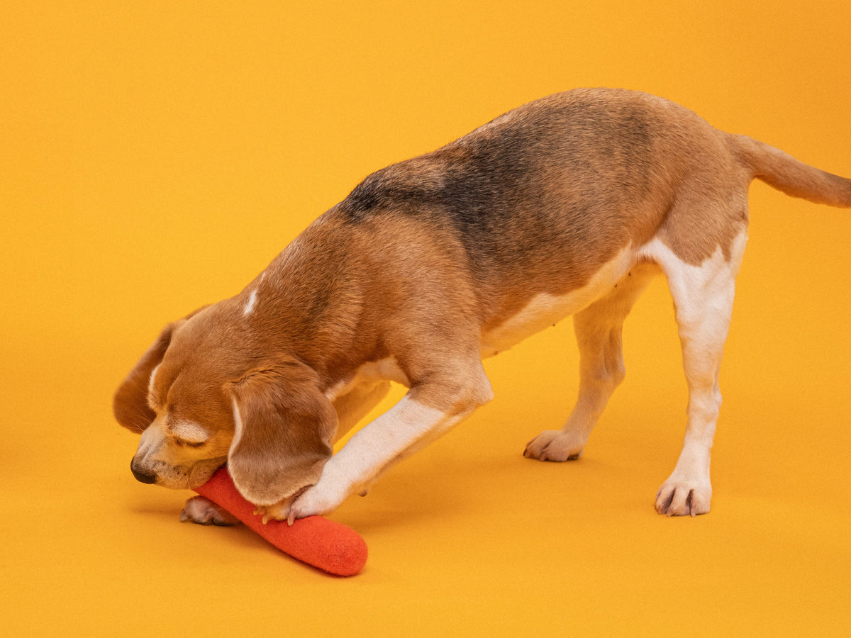 myfelt Isa Dog Toy - Stick — detail