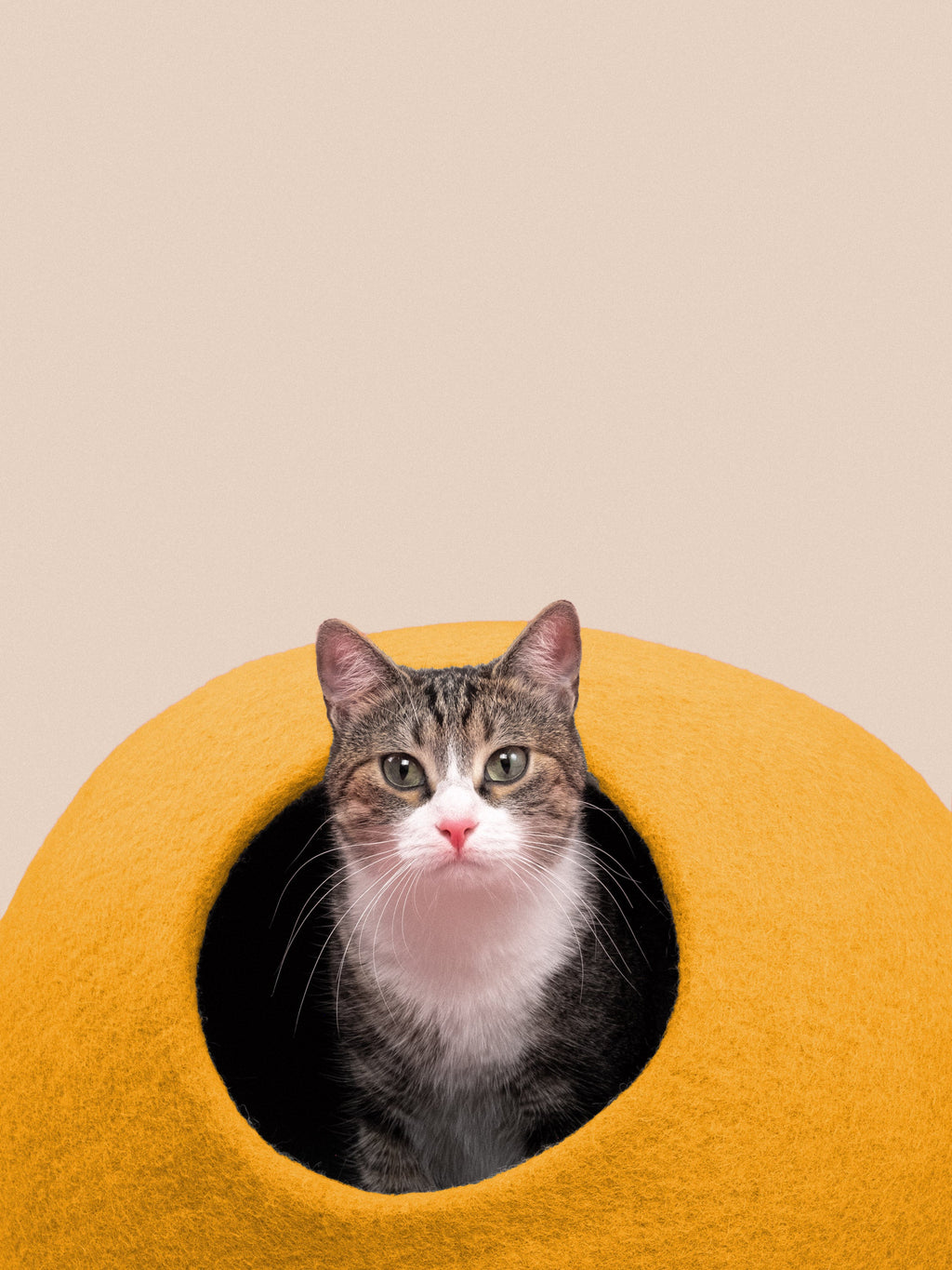 myfelt Risa Cat Cave — detail