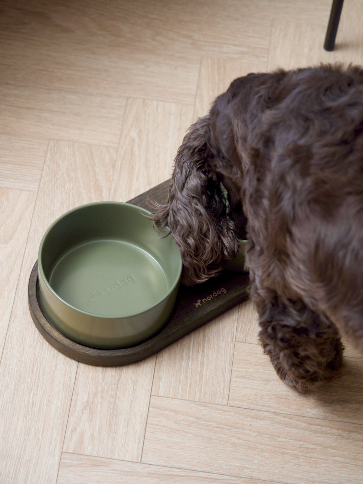 Nordog Barcelona — smoked oak with green ceramic bowls in use