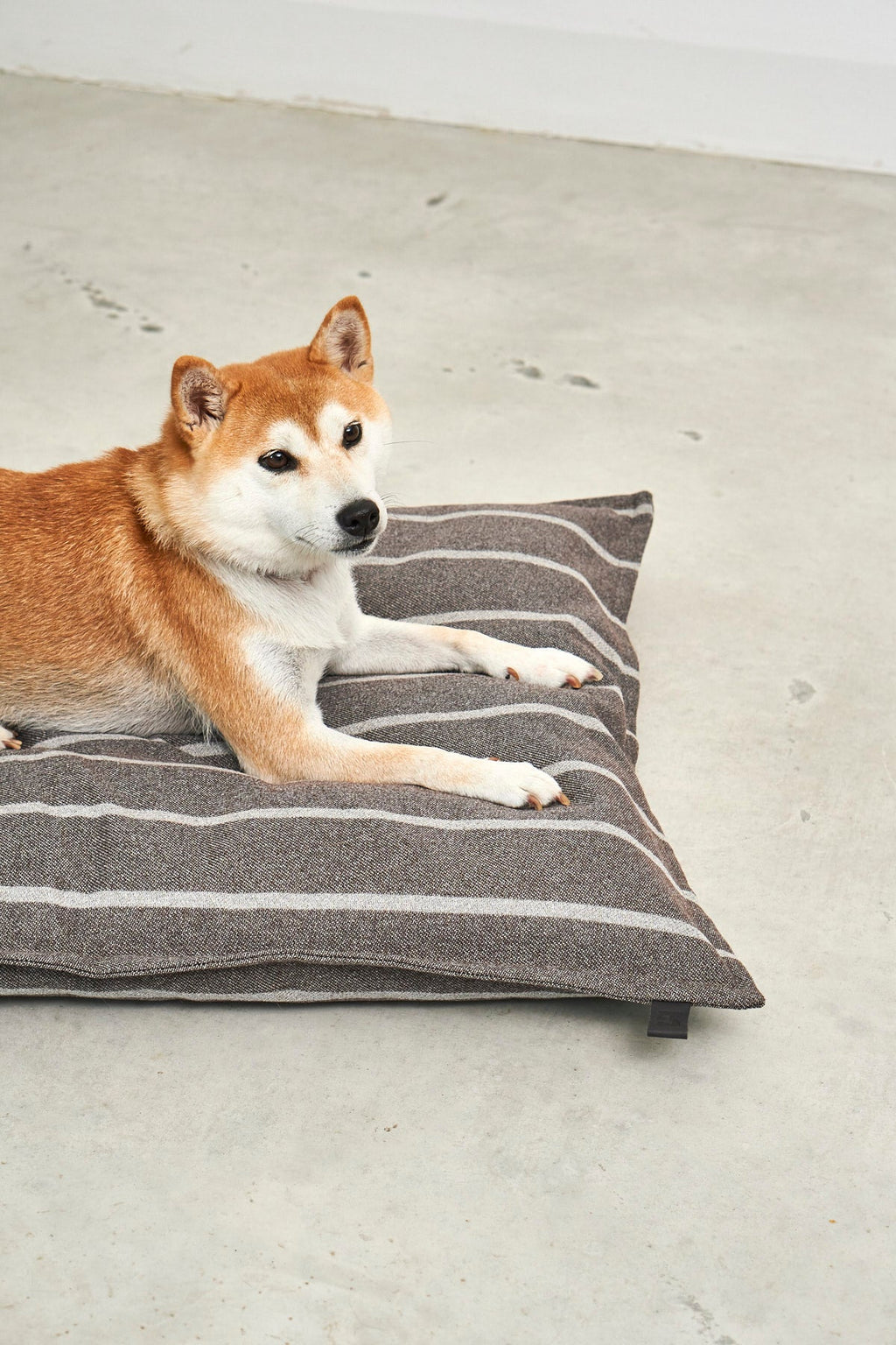 MiaCara Riga striped dog cushion