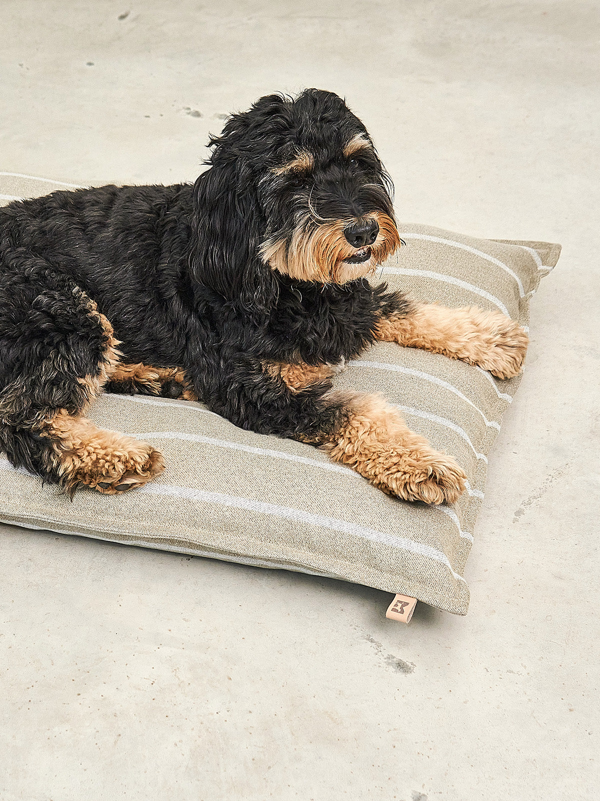 MiaCara Riga striped dog cushion