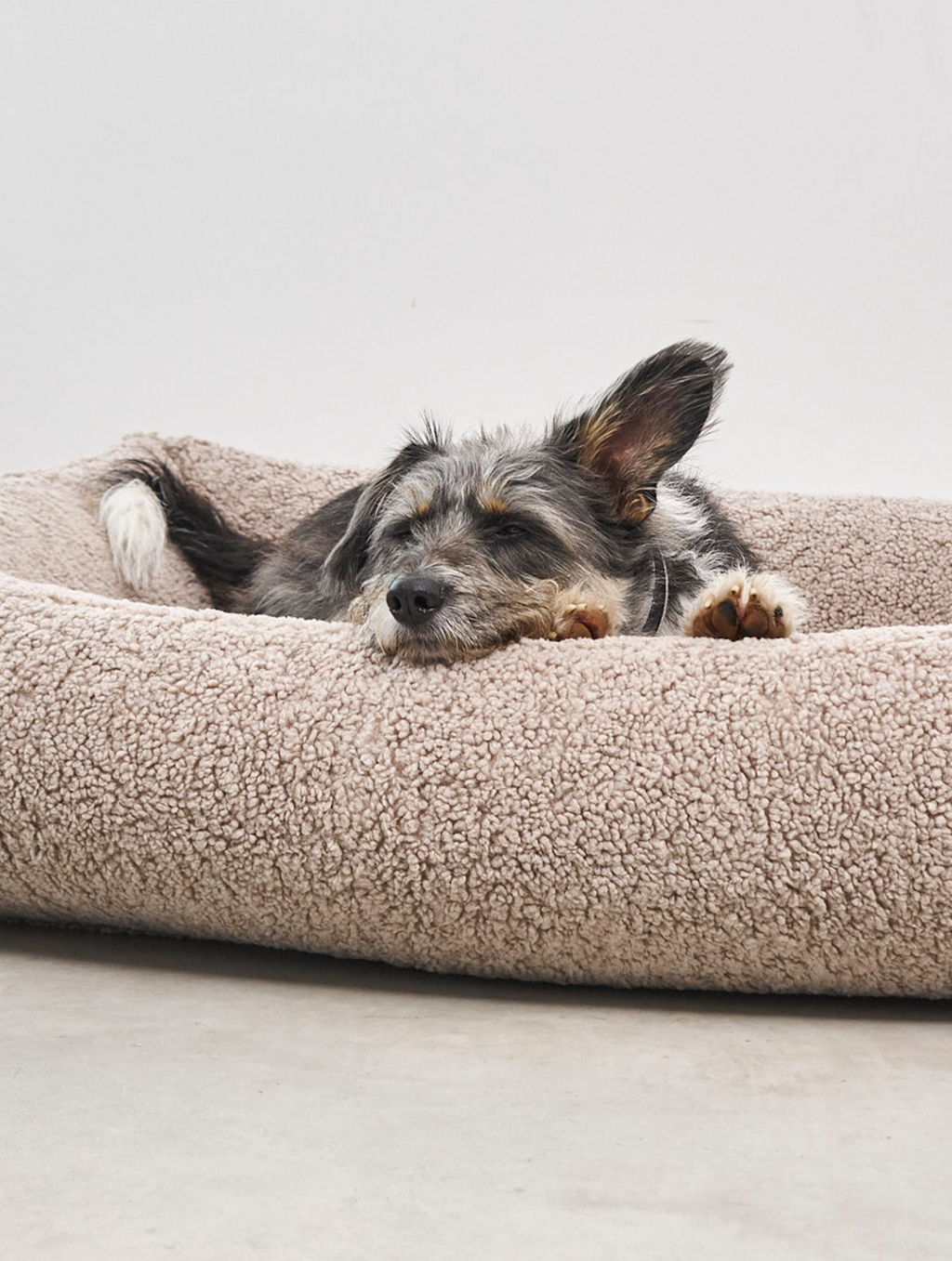 MiaCara Senso Dog Bed 4