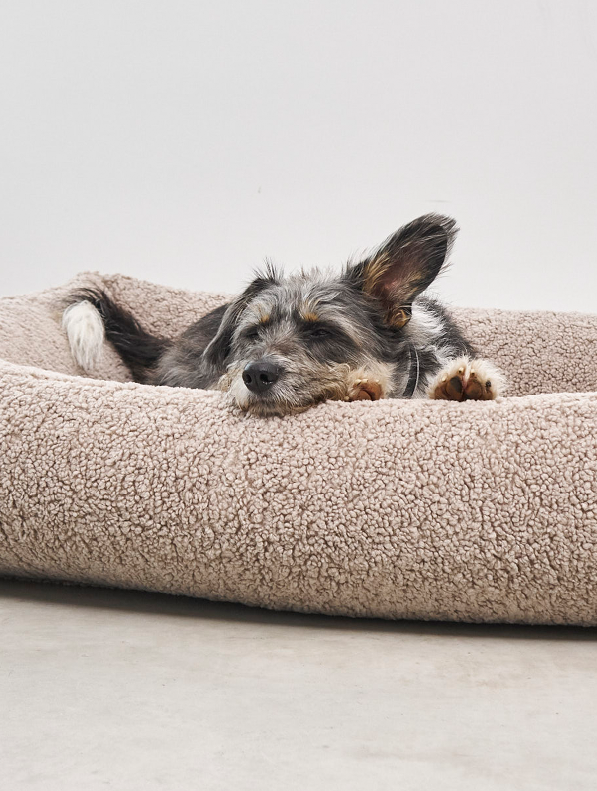 MiaCara Senso Dog Bed 4
