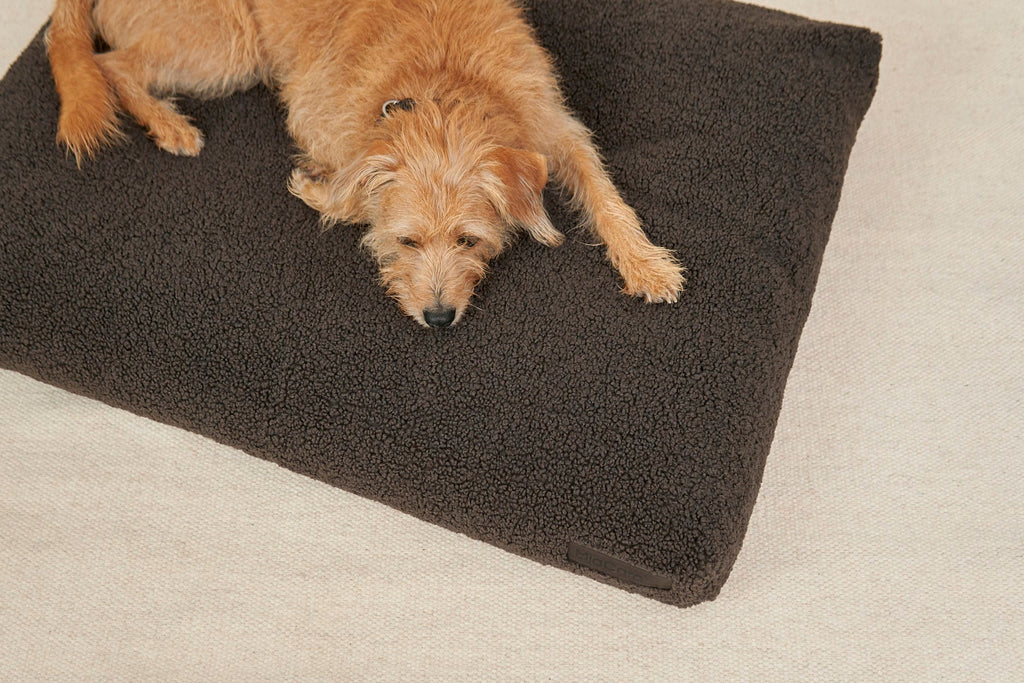 MiaCara Senso Dog Cushion 2