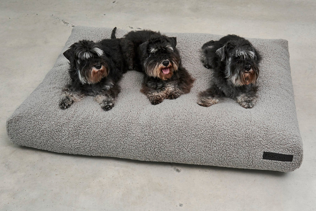 MiaCara Senso Dog Cushion 4