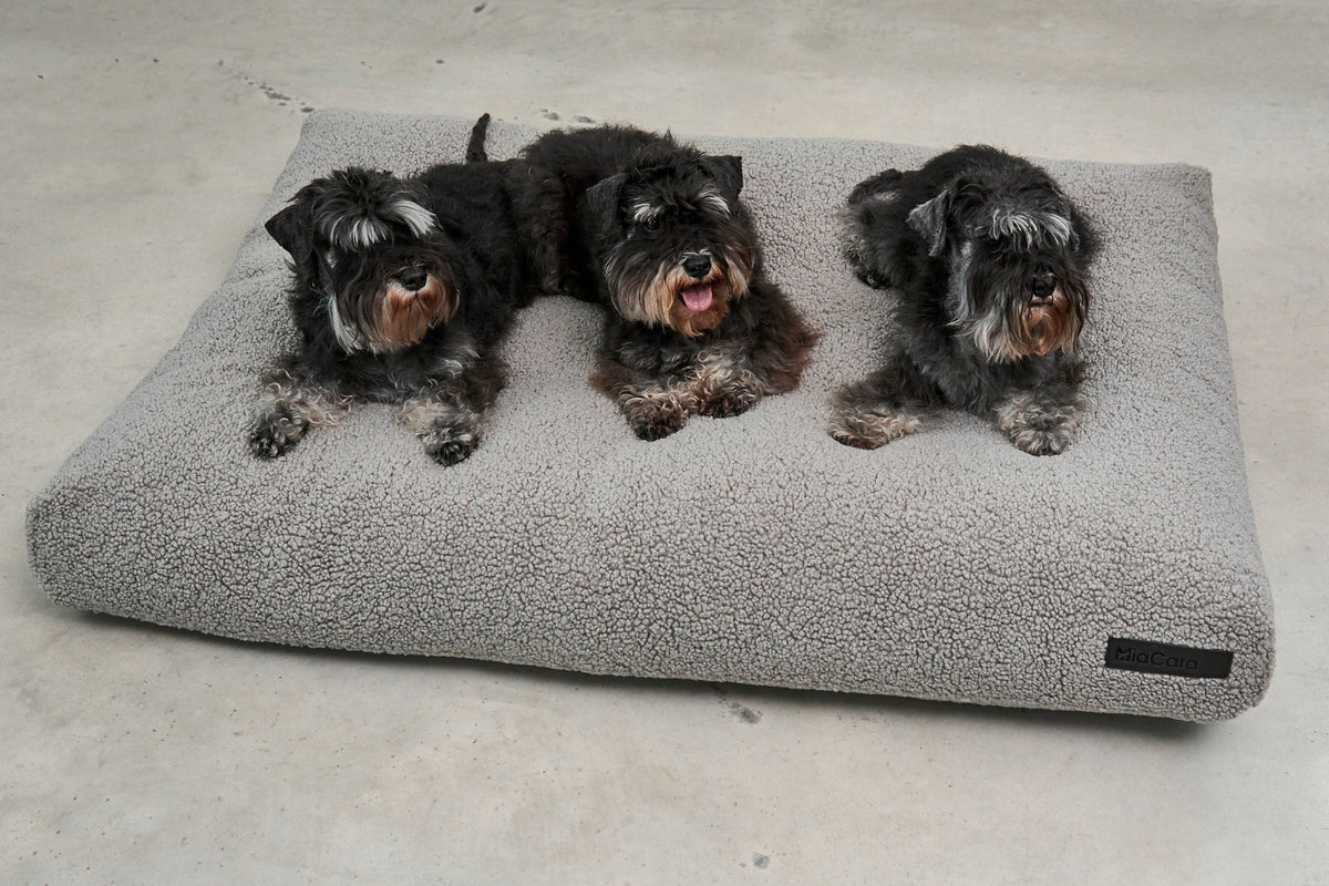 MiaCara Senso Dog Cushion 4