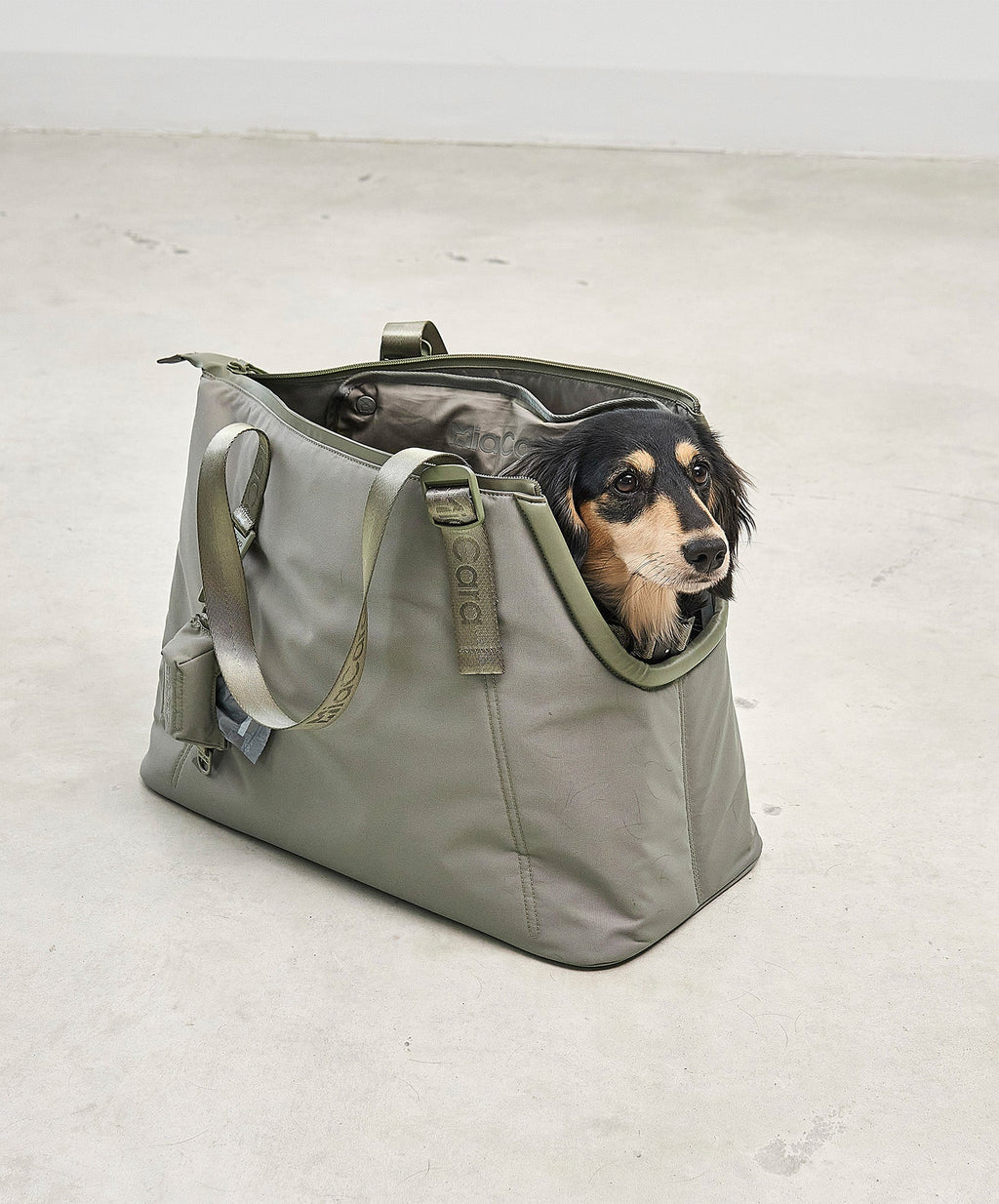 MiaCara Sporta dog carrier — detail 5