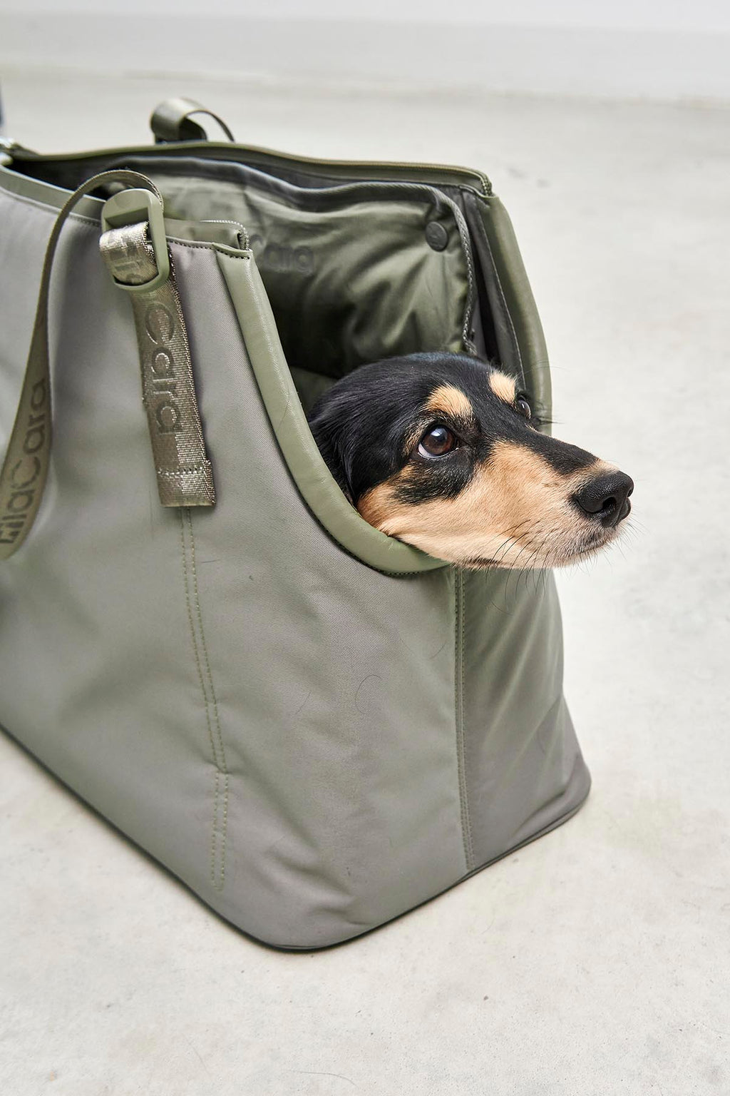 MiaCara Sporta dog carrier — detail 7