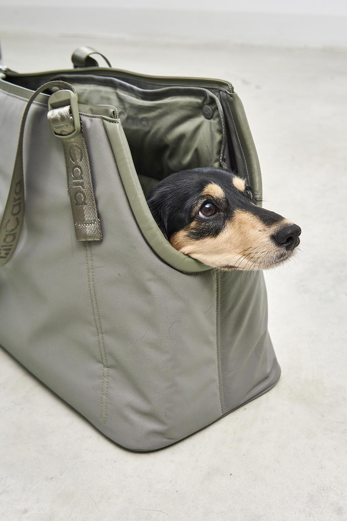 MiaCara Sporta dog carrier — detail 7