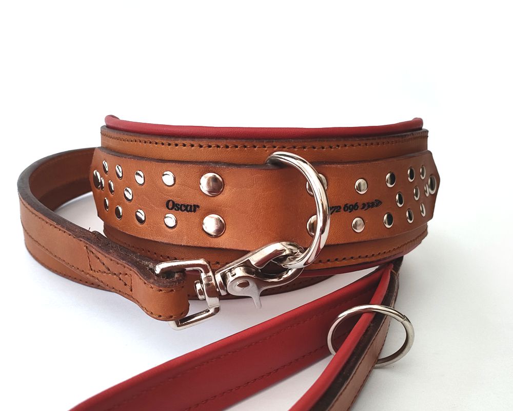 Bold Leather Studded Collar - 50mm