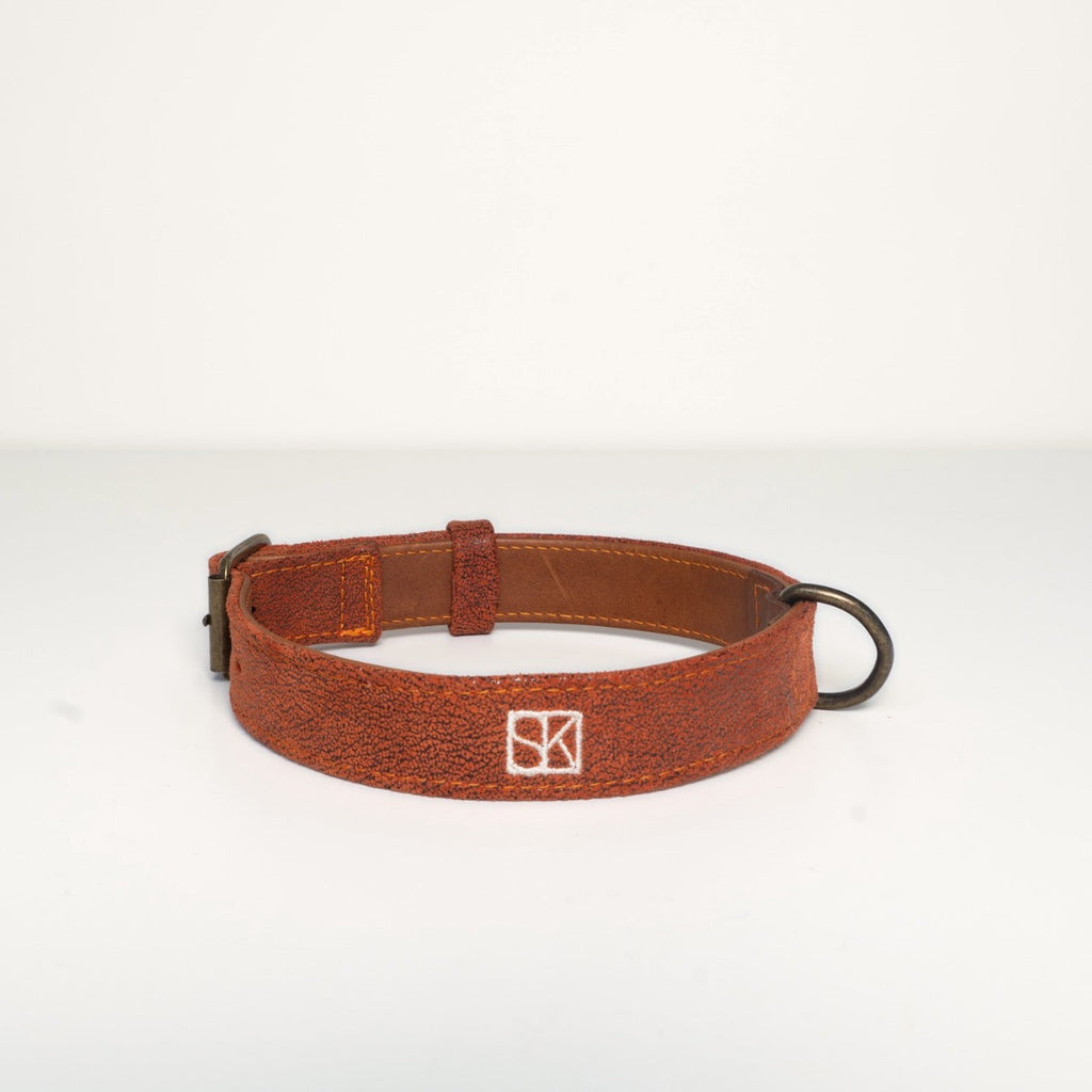 Collar Louie — front