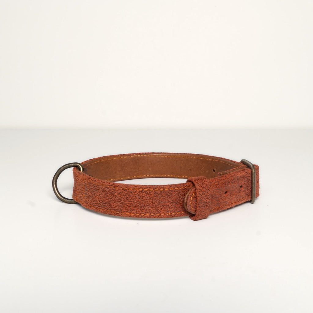 Collar Louie — back