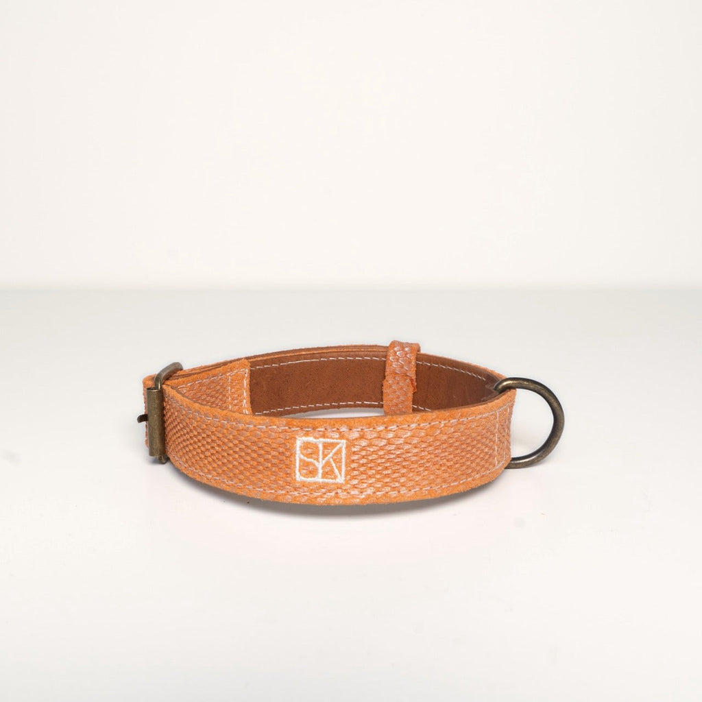 Collar Theo — front