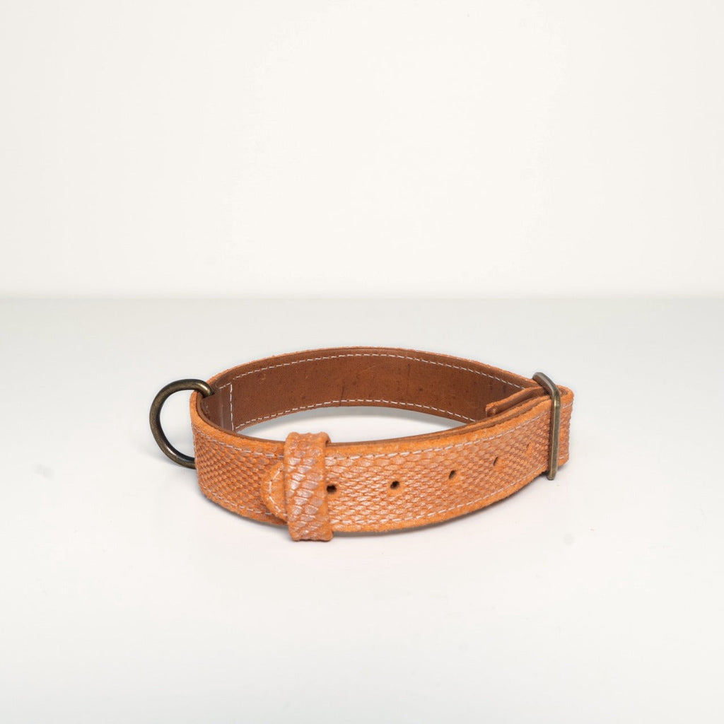 Collar Theo — back