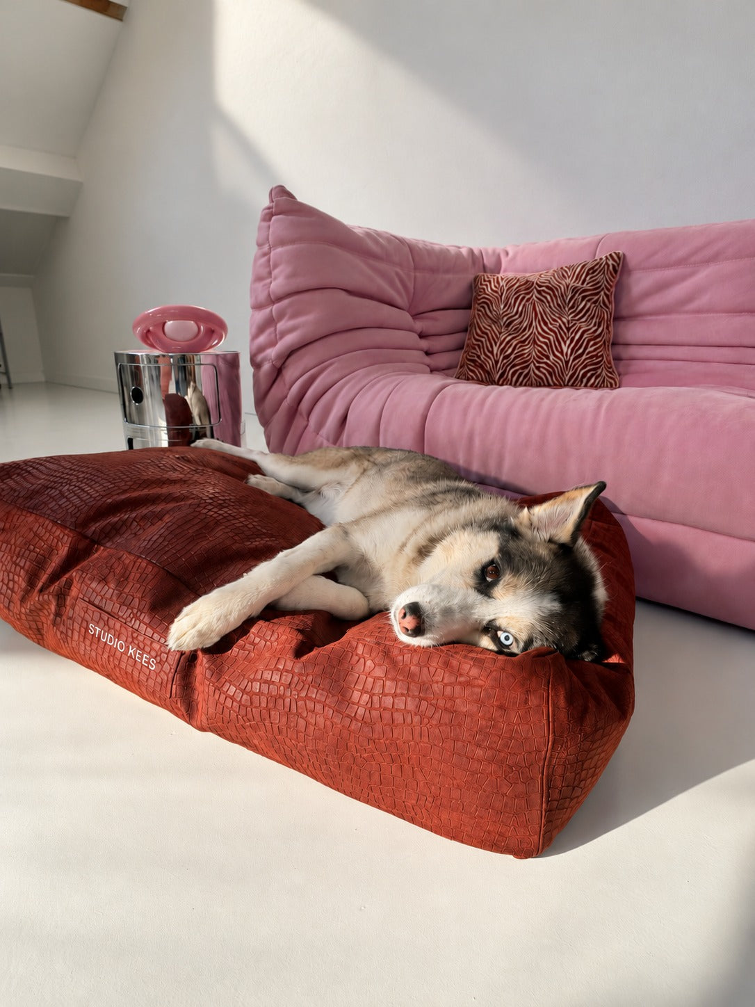 Dog bed Barry — lifestyle with dog
