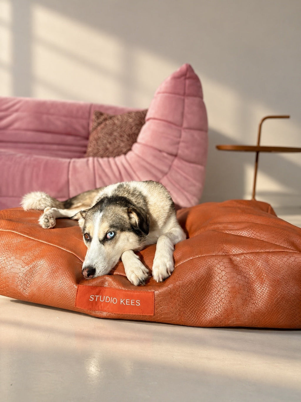 Dog bed Hans — lifestyle with dog
