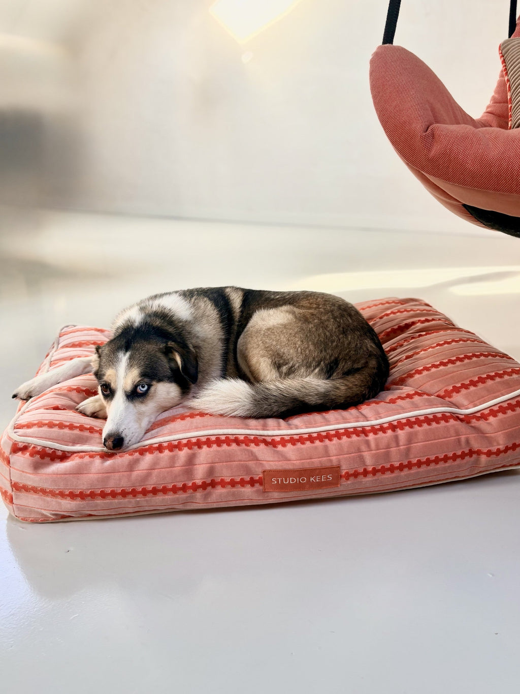 Dog bed Kees — lifestyle with dog