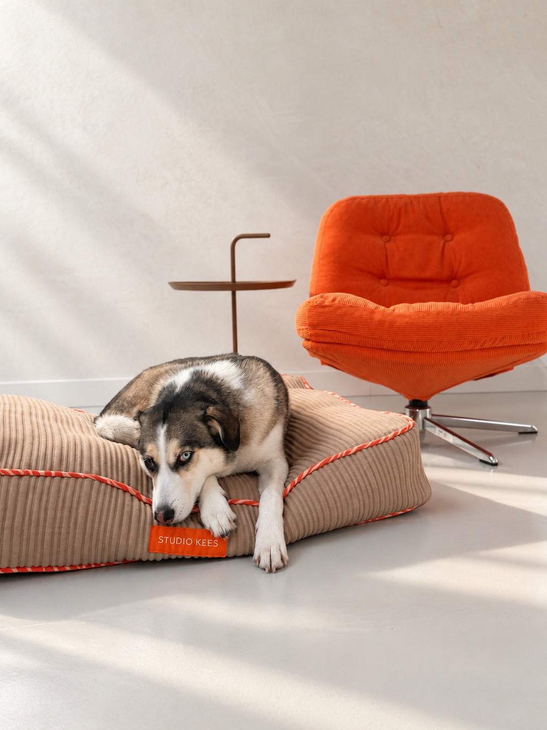 Dog bed Oscar — lifestyle with dog