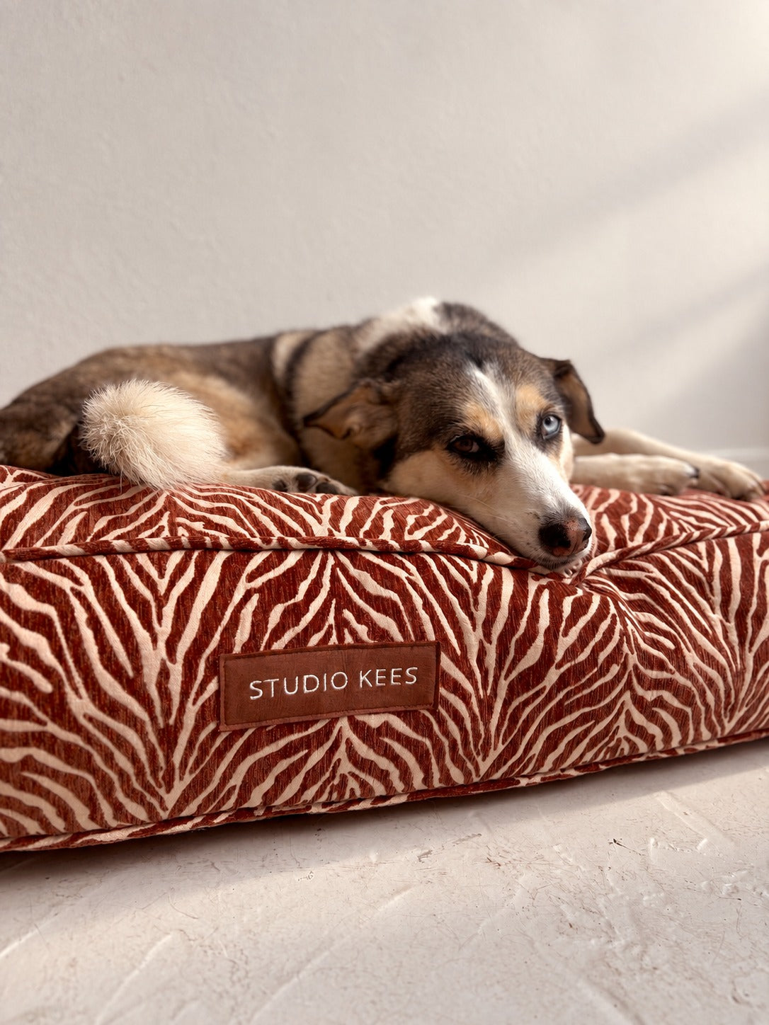 Dog bed Otis — lifestyle with dog
