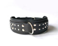 Bold Leather Studded Collar - 50mm