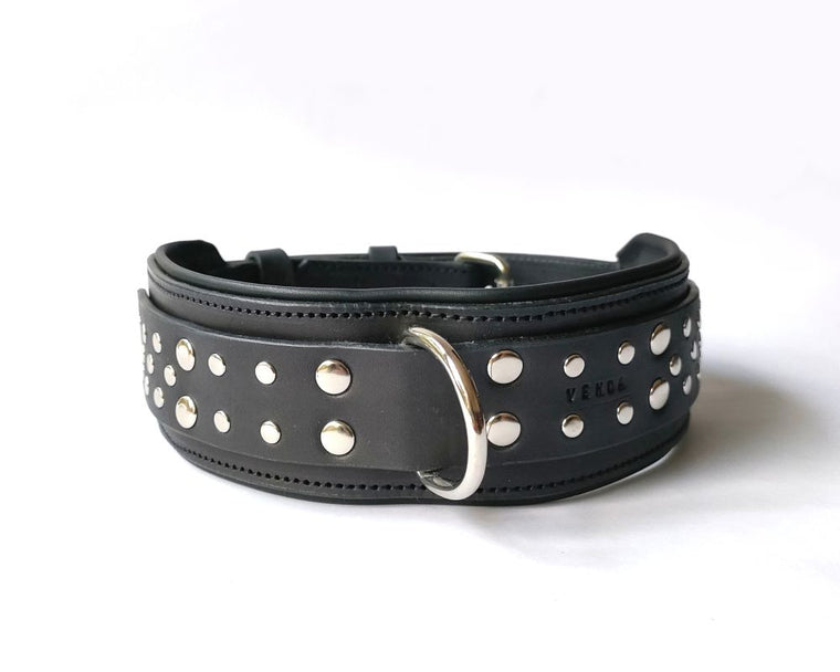 Bold Leather Studded Collar - 50mm