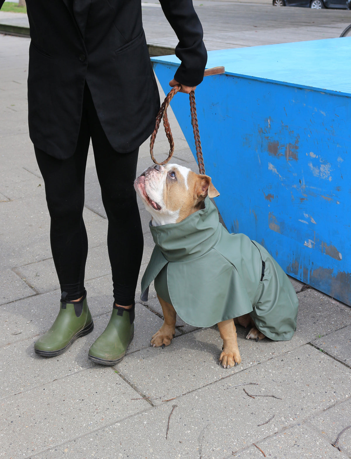 Raincoat Green — worn by a dog