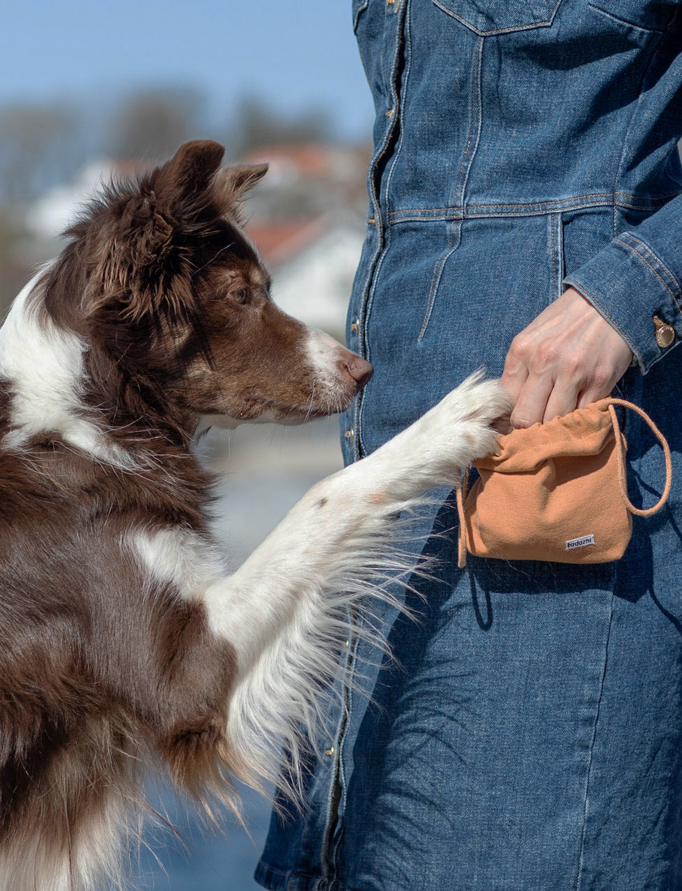 Tadazhi Treaty treat bag in Light Brown — on a walk