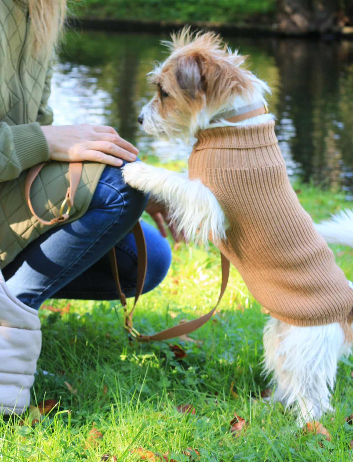 Female Wool dog sweater Beige — worn by a dog
