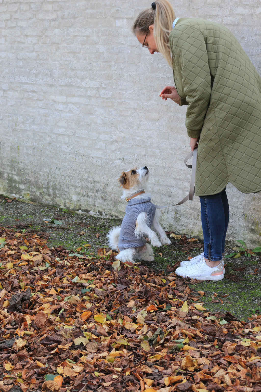 Female Wool dog sweater Grey — worn by a dog