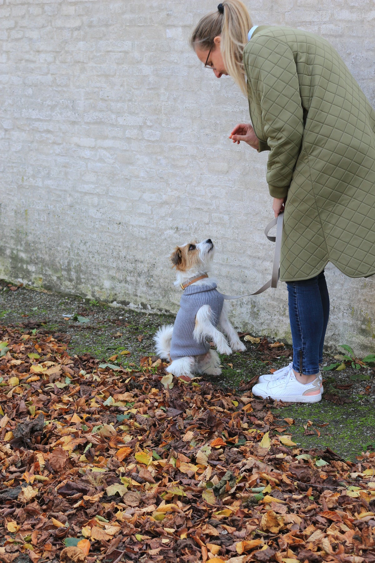 Female Wool dog sweater Grey — worn by a dog