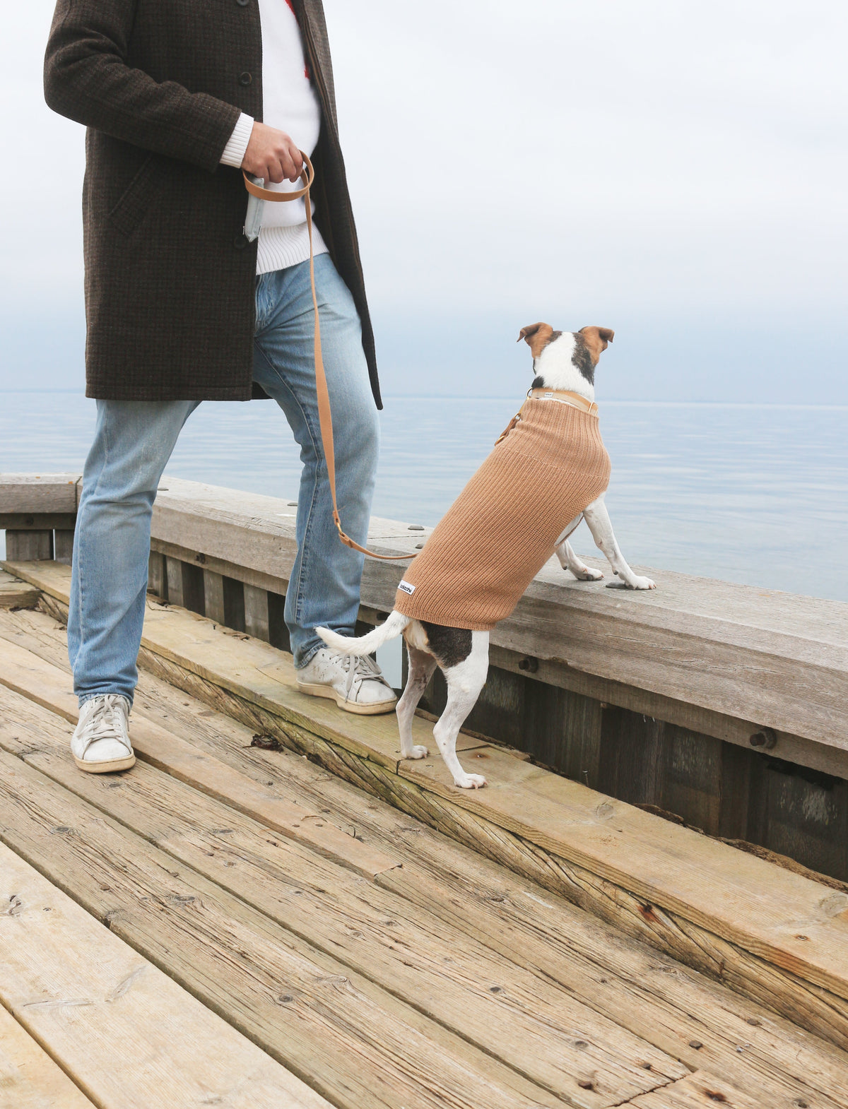 Wool dogsweater Unisex Beige — worn by a dog