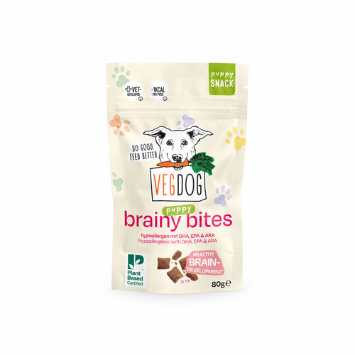 Brainy Bites — white background